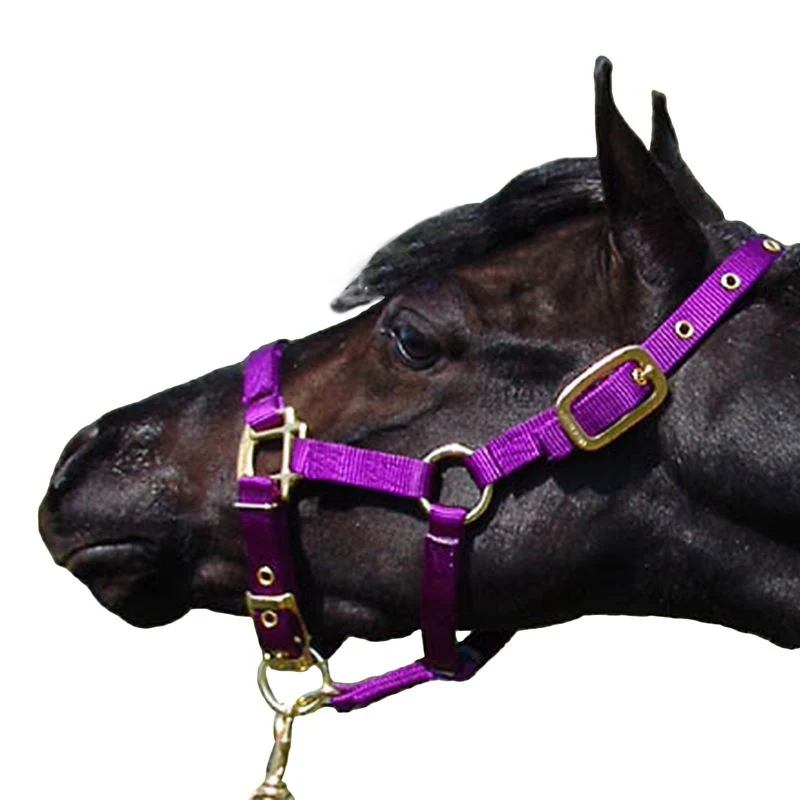 Jacks Training Snaffle Bit 5" Black Steel - Image 3