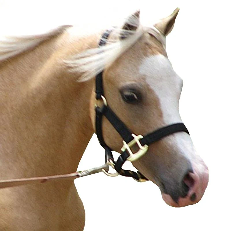 Jacks Training Snaffle Bit 5" Black Steel - Image 4