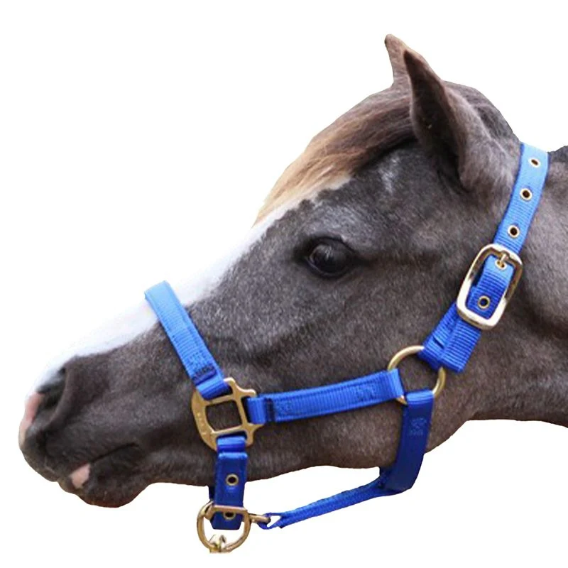 Jacks Training Snaffle Bit 5" Black Steel - Image 5