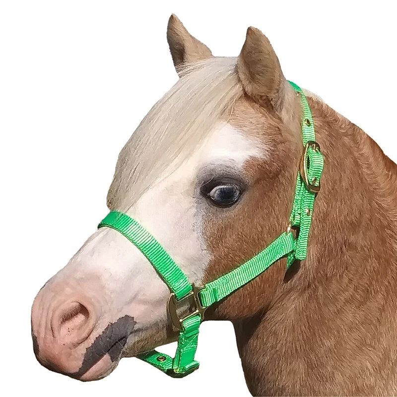 Jacks Training Snaffle Bit 5" Black Steel - Image 7