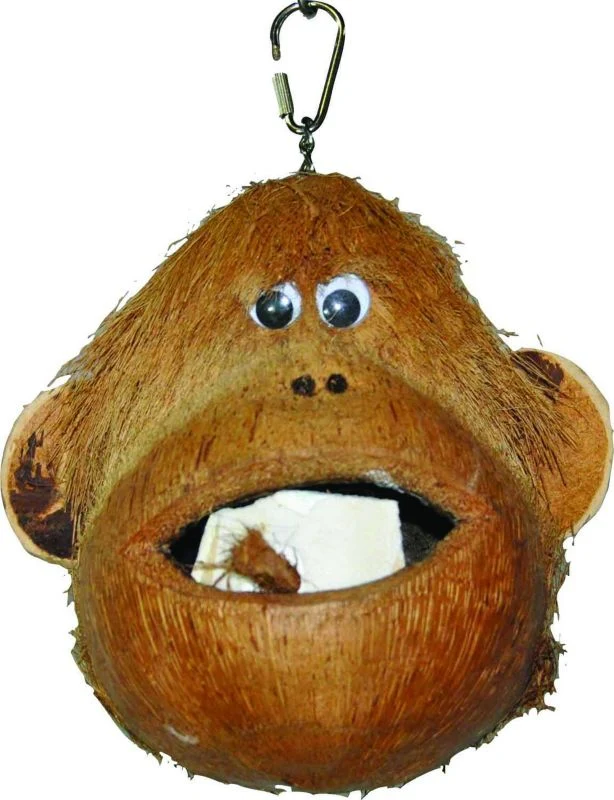 Java Wood Coco Monkey Bird Toy - Image 2