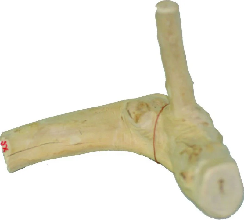 Java Wood Reptile Branch Extra Small Natural