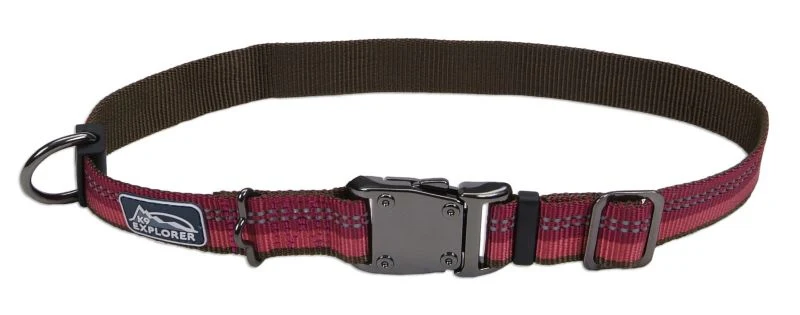 K9 Explorer Reflective Dog Collar