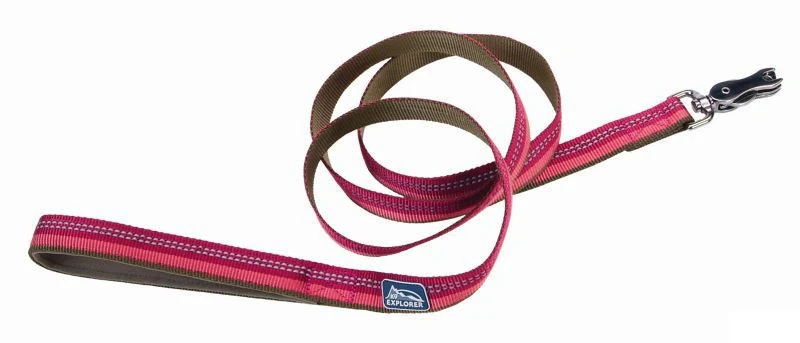K9 Explorer Reflective Dog Leash - Image 5
