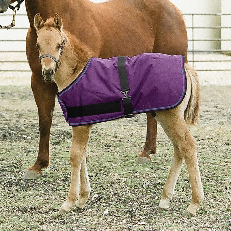 Kensington 1200D Foal Turnout 180g - Image 2