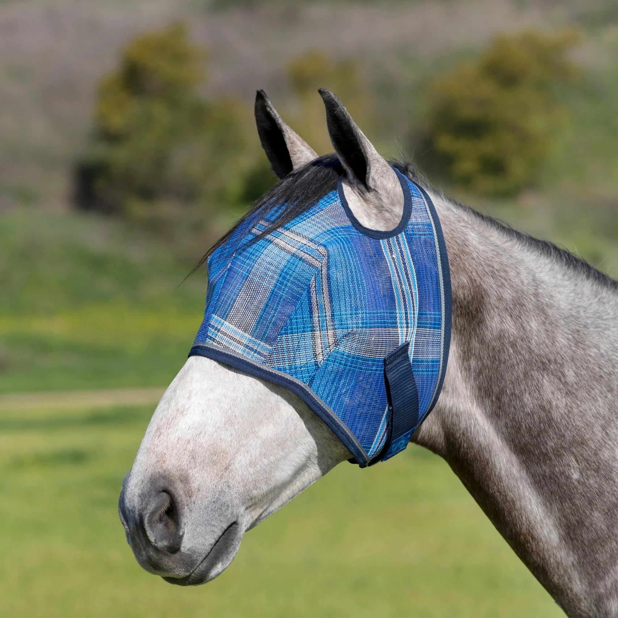 Kensington Fly Mask with 73% UV Protection - Open Top Design - Image 12