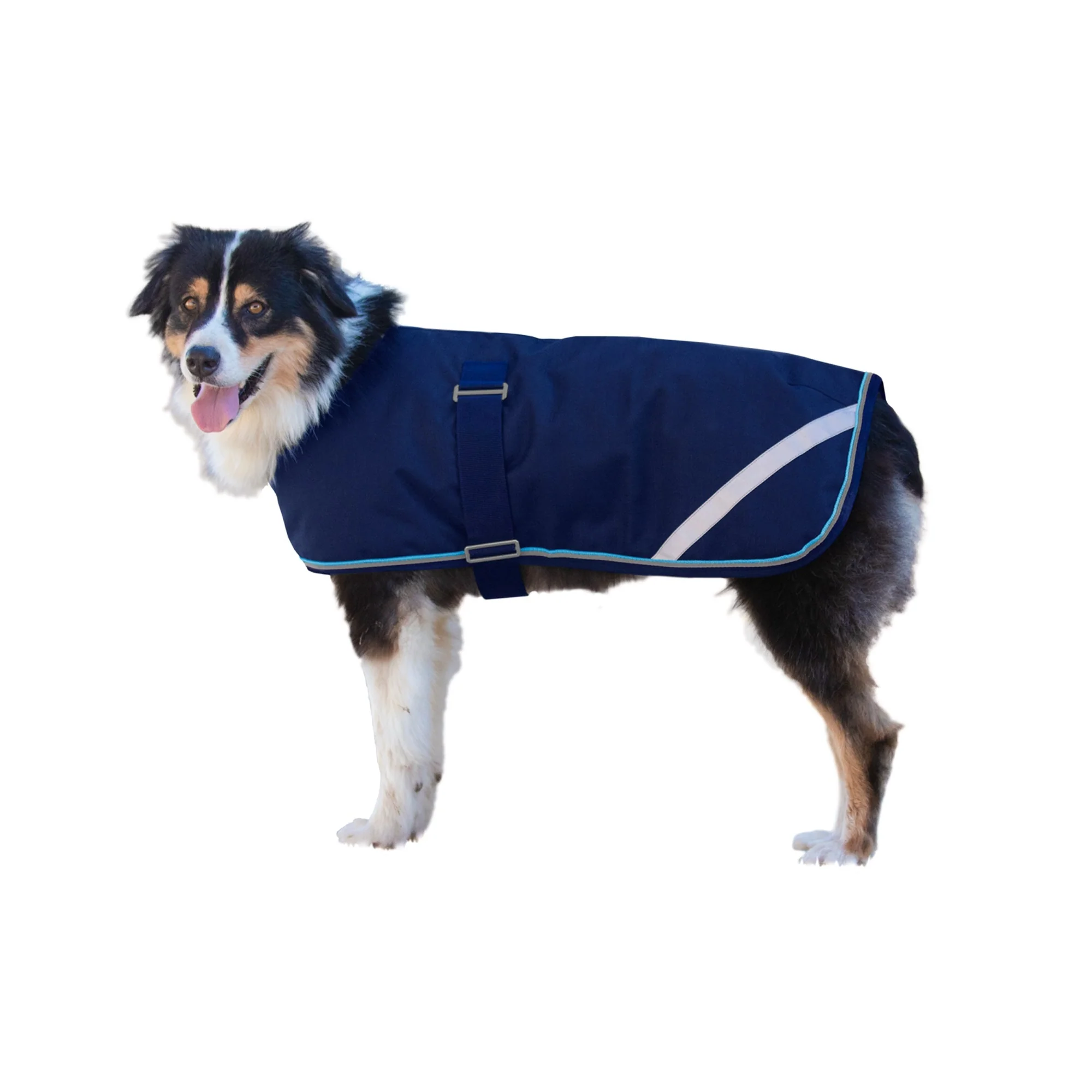 Kensington Standard Dog Coat 180g - Image 4