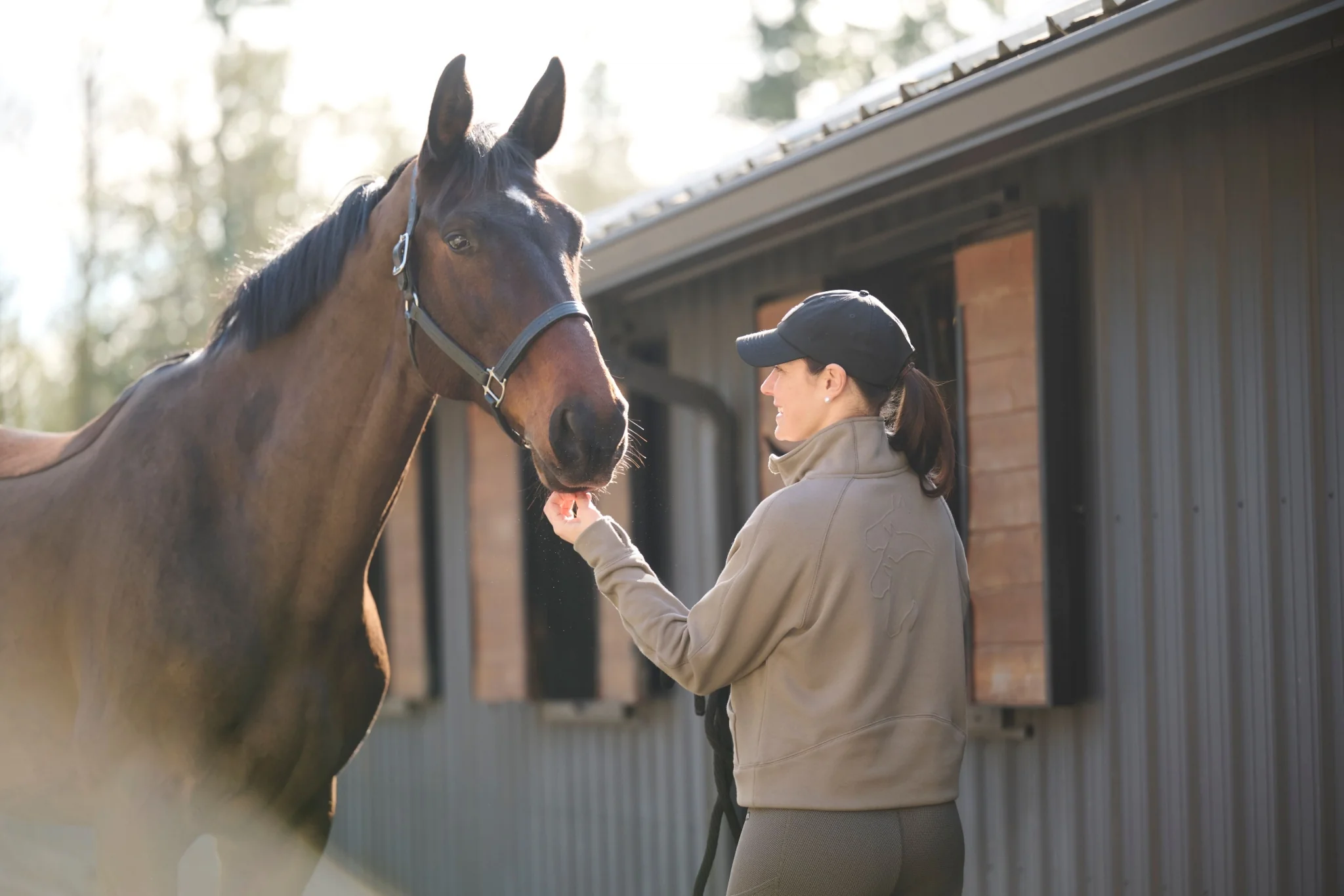 Kerrits Etch Equine Half Zip Sweatshirt - Image 10