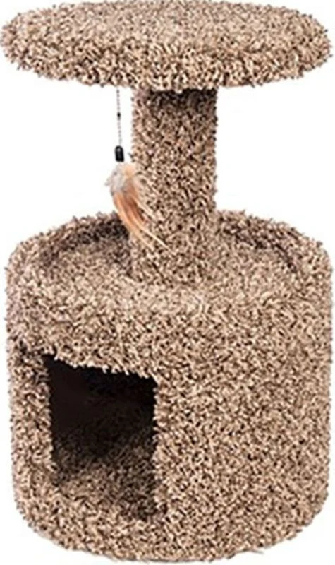 Kitty Condo With Perch