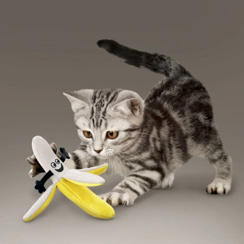 KONG Better Buzz Banana Assorted Cat Toy - Image 2