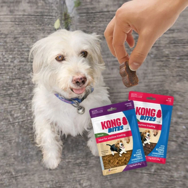KONG Bites Dog Treat 5oz - Image 2