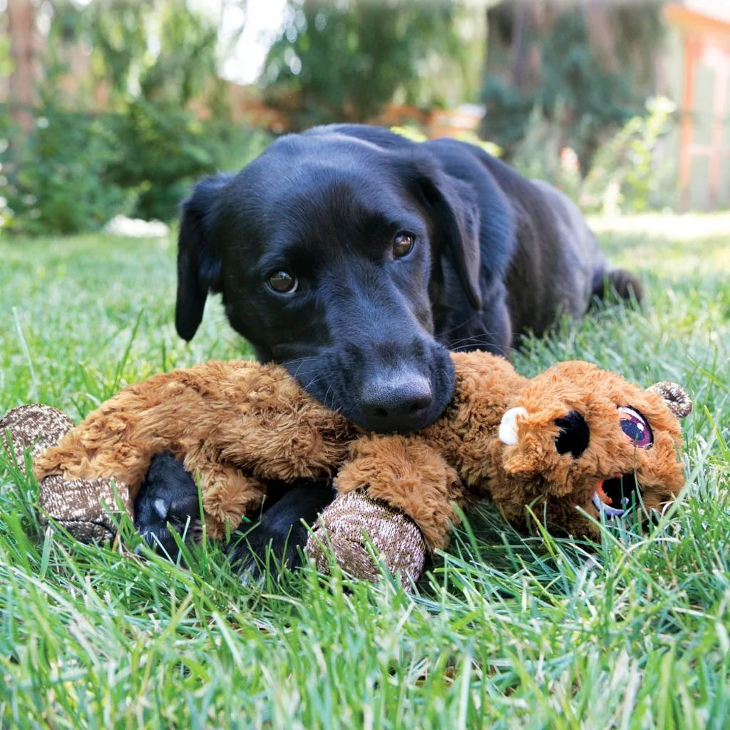 KONG Flopzie Low Stuff Beaver - Image 3