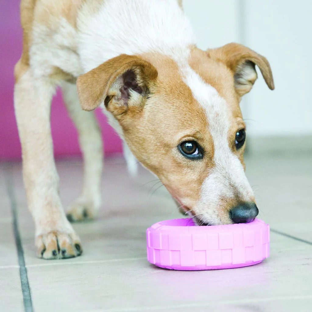 KONG Puppy Tires - Image 3