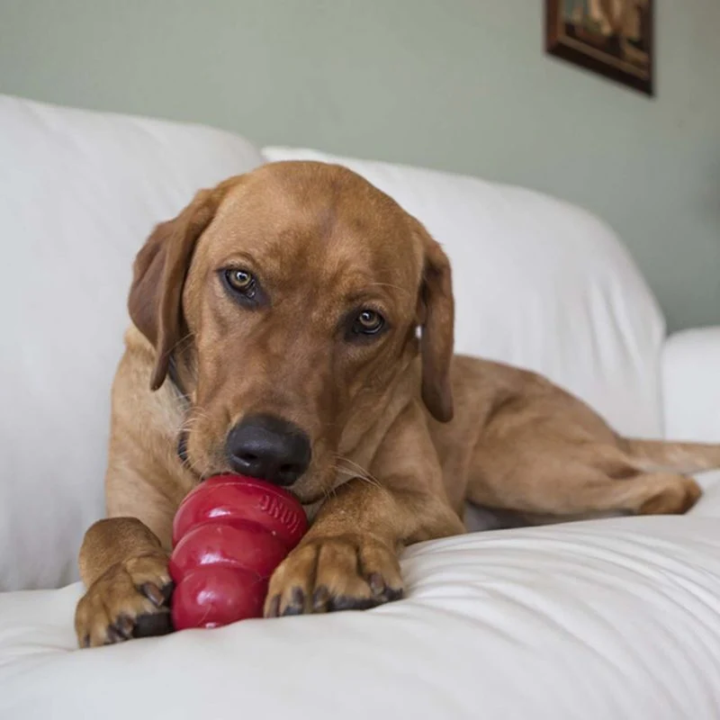 KONG Stuff N Snacks Bacon/Cheese Dog Treat - Image 5