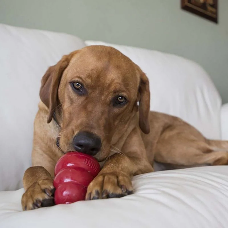 KONG Snacks Large Dog Treat - Image 5