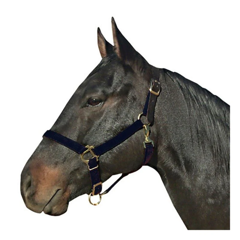 Leather Crown Nylon Breakaway Halter - Image 2