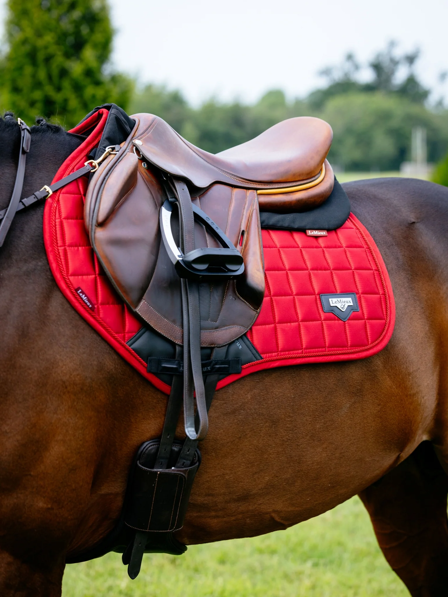 Lemieux Loire Classic Close Contact Square Pad - Image 8