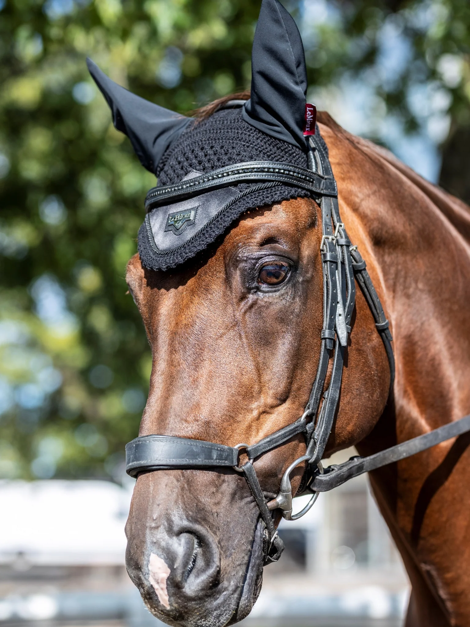 Lemieux Loire Fly Bonnet - Image 8