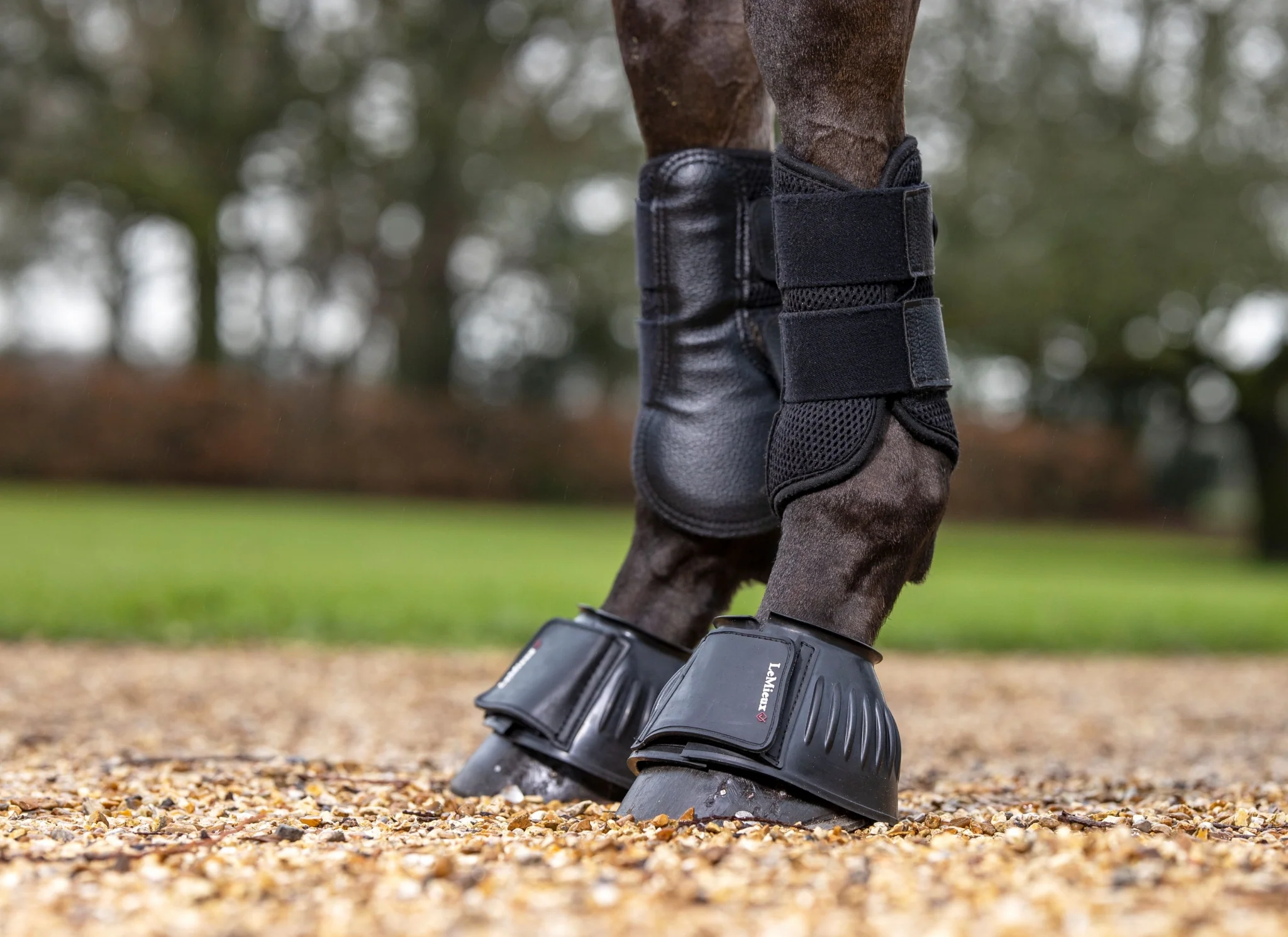 Lemieux Rubber Bell Boots - Image 3