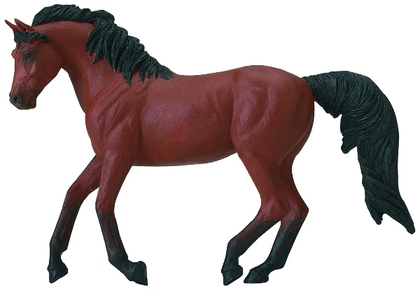 Morgan Mare