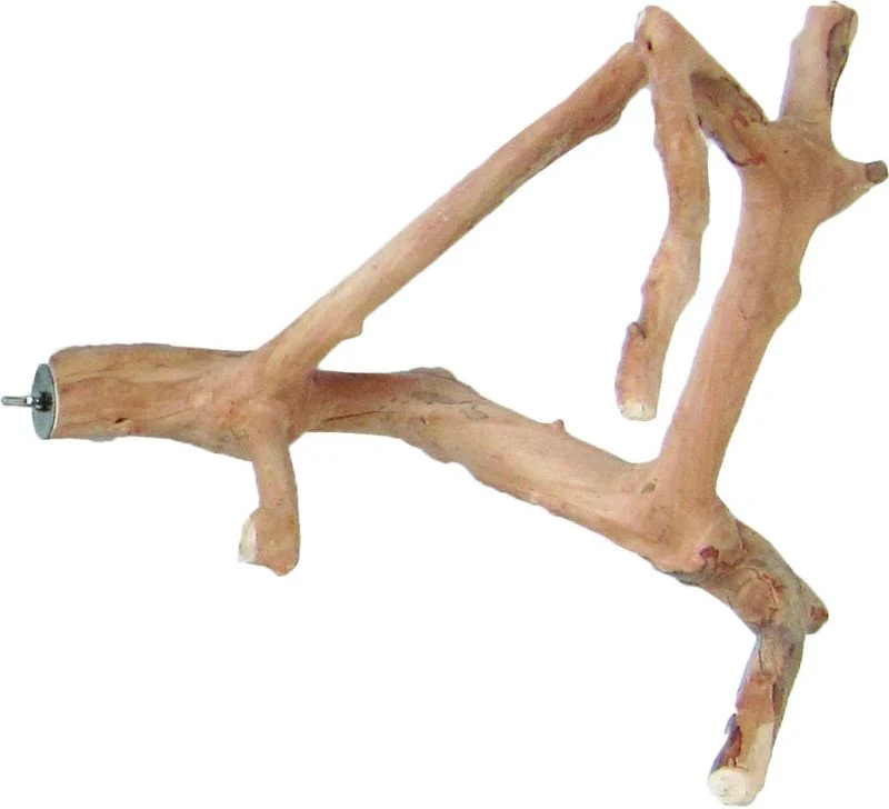 Java Wood Natural Multi Branch Bird Perch - Image 2