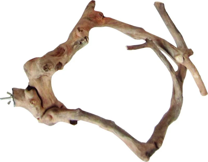 Java Wood Natural Multi Branch Bird Perch - Image 5