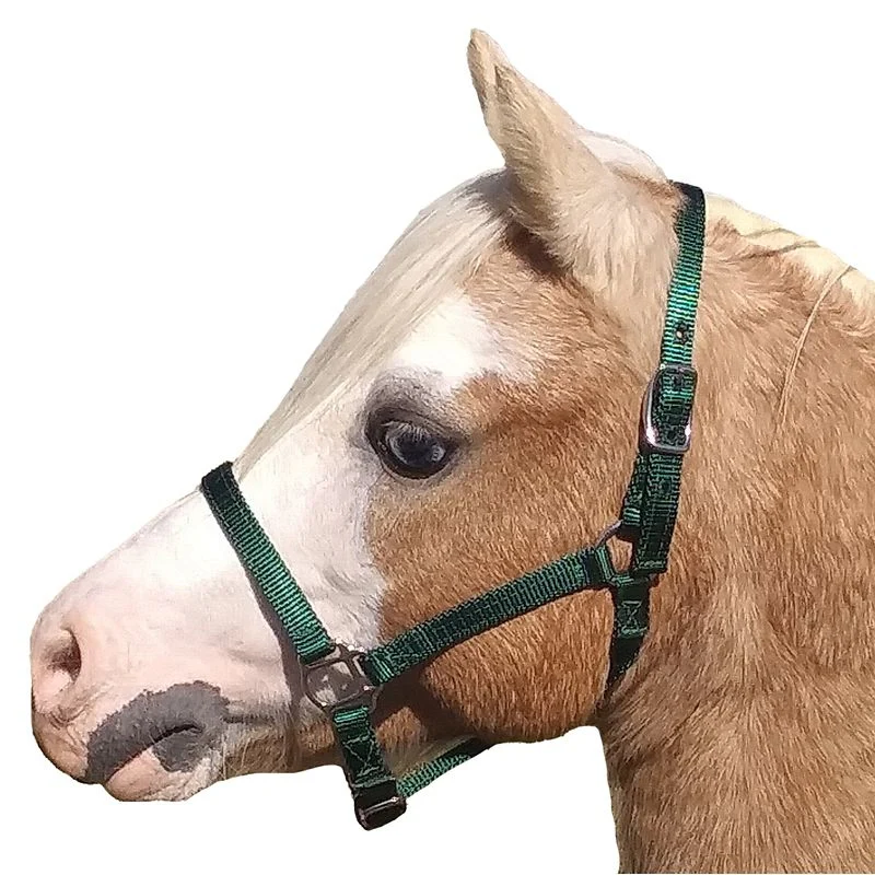 Neue Schule Tranz Angled Lozenge Pony Butterfly Pe - Image 10