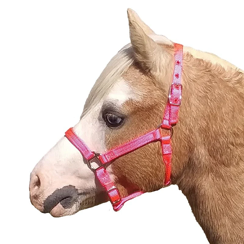 Neue Schule Tranz Angled Lozenge Pony Butterfly Pe - Image 9