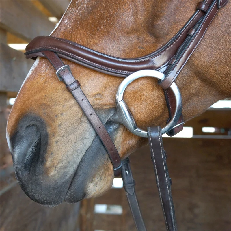Nunn Finer Aforma Flash Bridle - Image 2