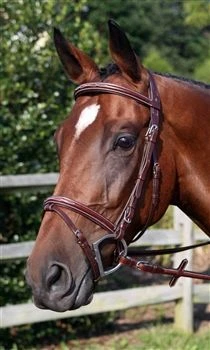 Nunn Finer Modena Event Bridle Cob Havana - Image 3