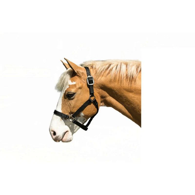Nylon Halter Cob Navy - Image 4