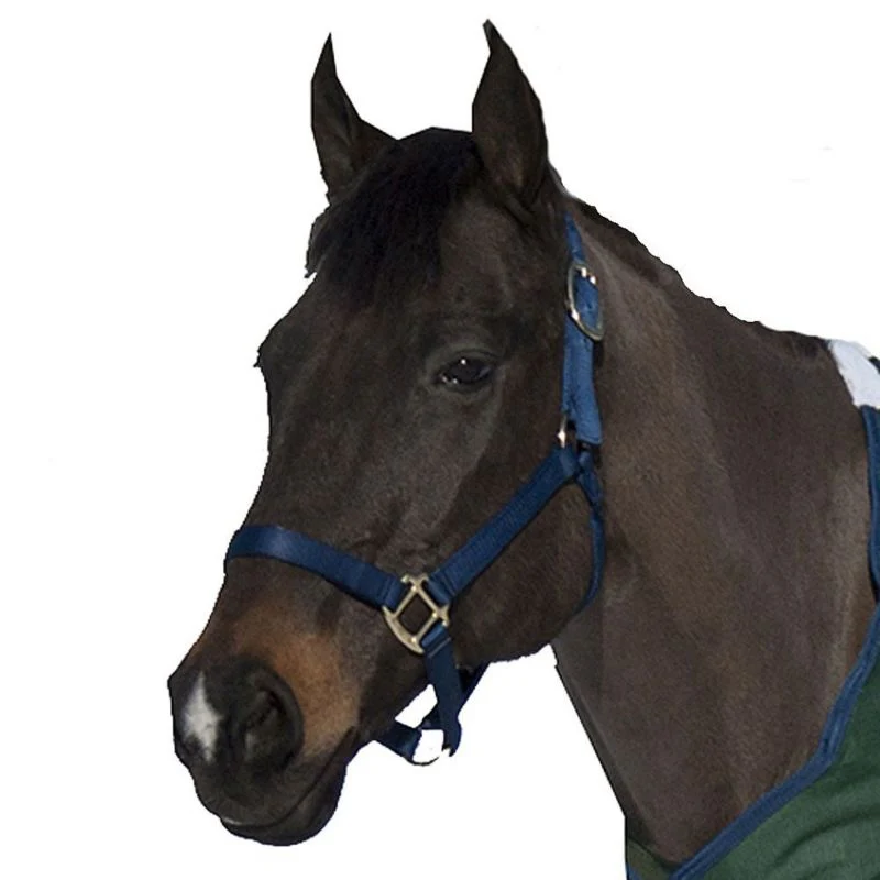 Nylon Halter Cob Navy - Image 6