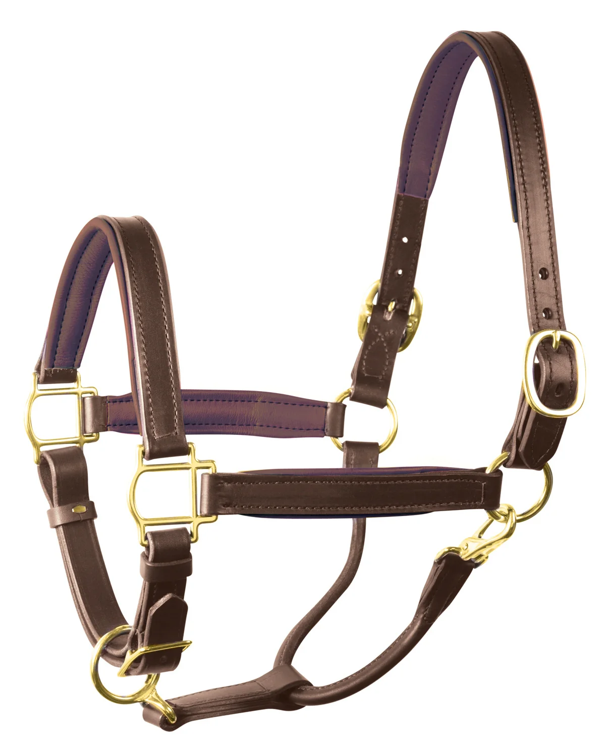 Perri's 3/4" Padded Leather Halter - Image 2