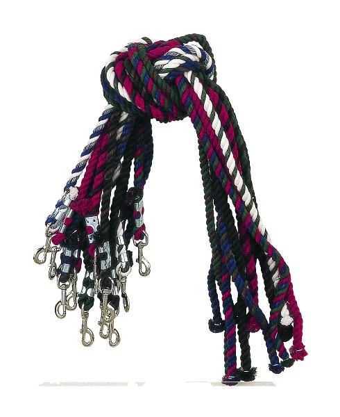 Perris Cotton Multi-Colored Leads 6ft Brn - Image 6