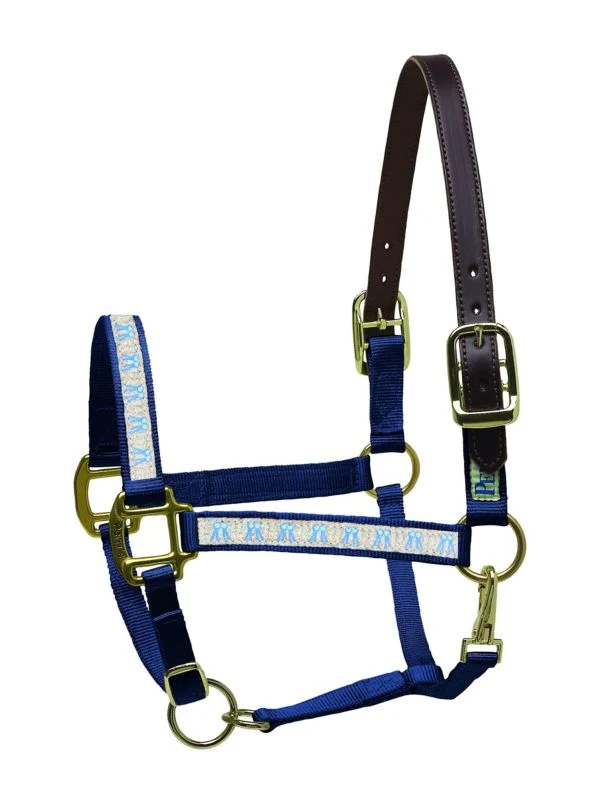 Perris Leather Ribbon Halter Cob - Image 2