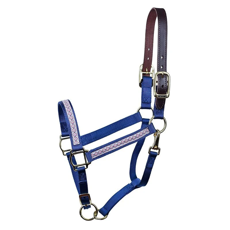 Perris Ribbon Safety Halter - Image 16