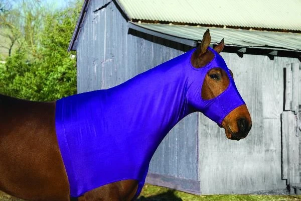 Perris Lycra Hood Large Black - Image 6