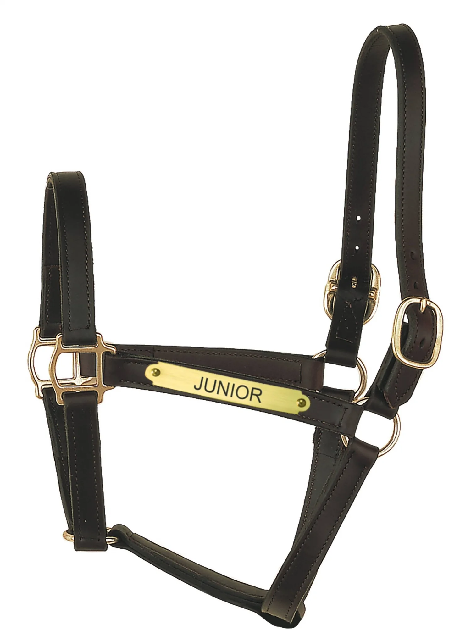 Perri's Personalized 1" Track Syle Turnout Halter - Image 2