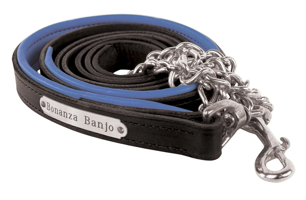 Perri's Personalized Padded Leather Lead with Chain