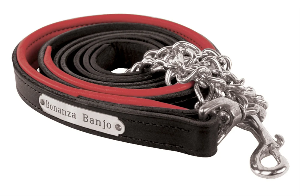 Perri's Personalized Padded Leather Lead with Chain - Image 4