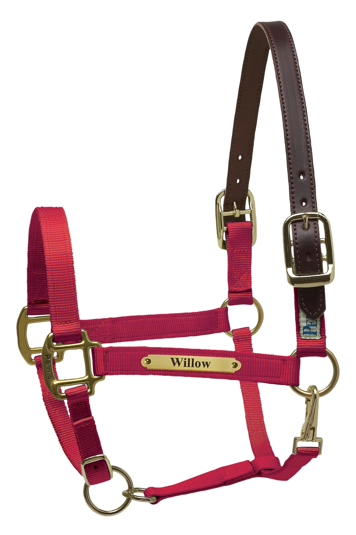 Perri's Personalized Premium Nylon Safety Halter - Image 11