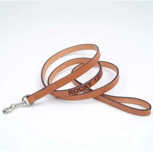 Personalized 6ft Leather Dog Lead - Image 2