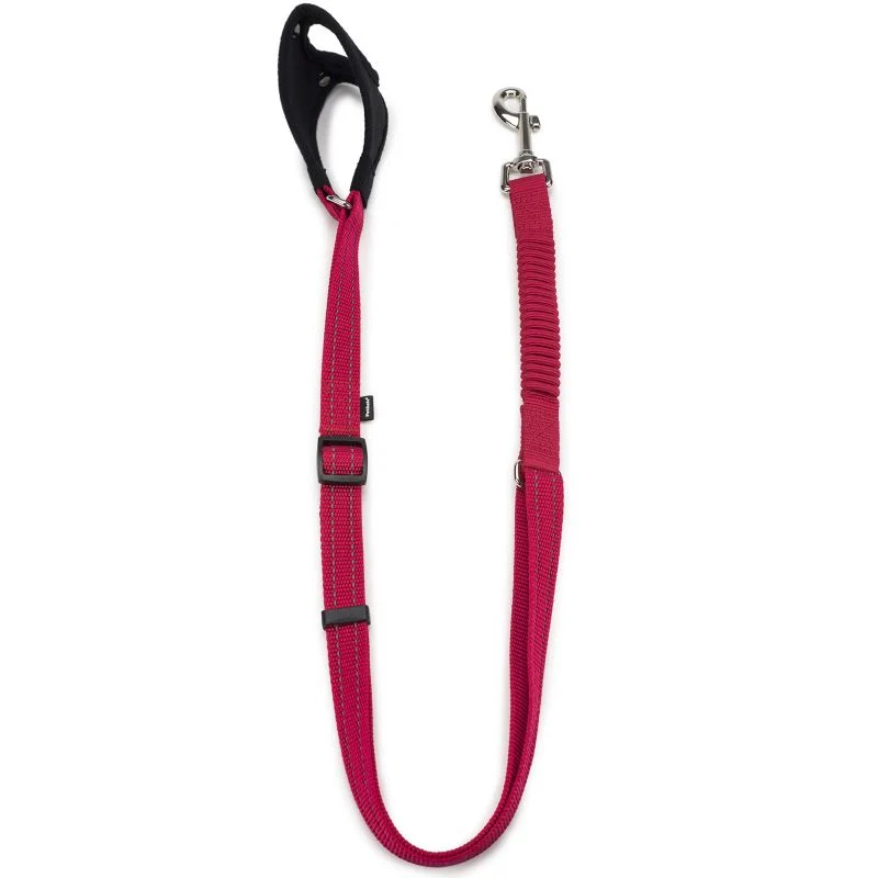PetSafe Sport 3/4 Dog Leash