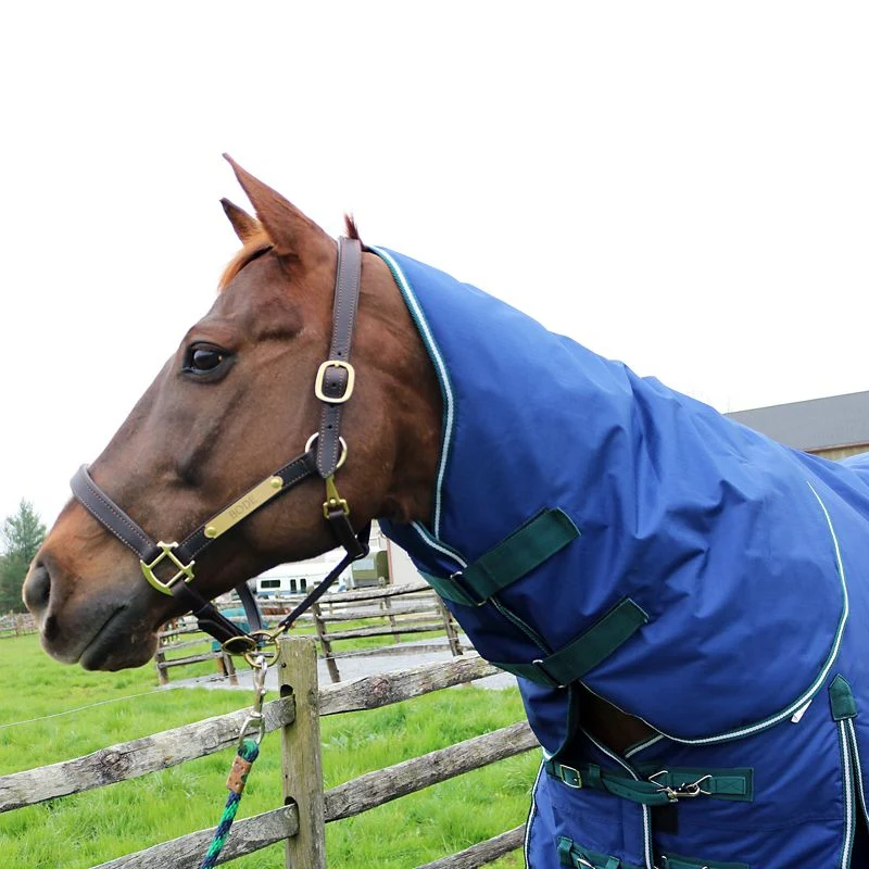 Pro-Trainer 100G TO Blanket with Neck Cover 1200D - Image 6