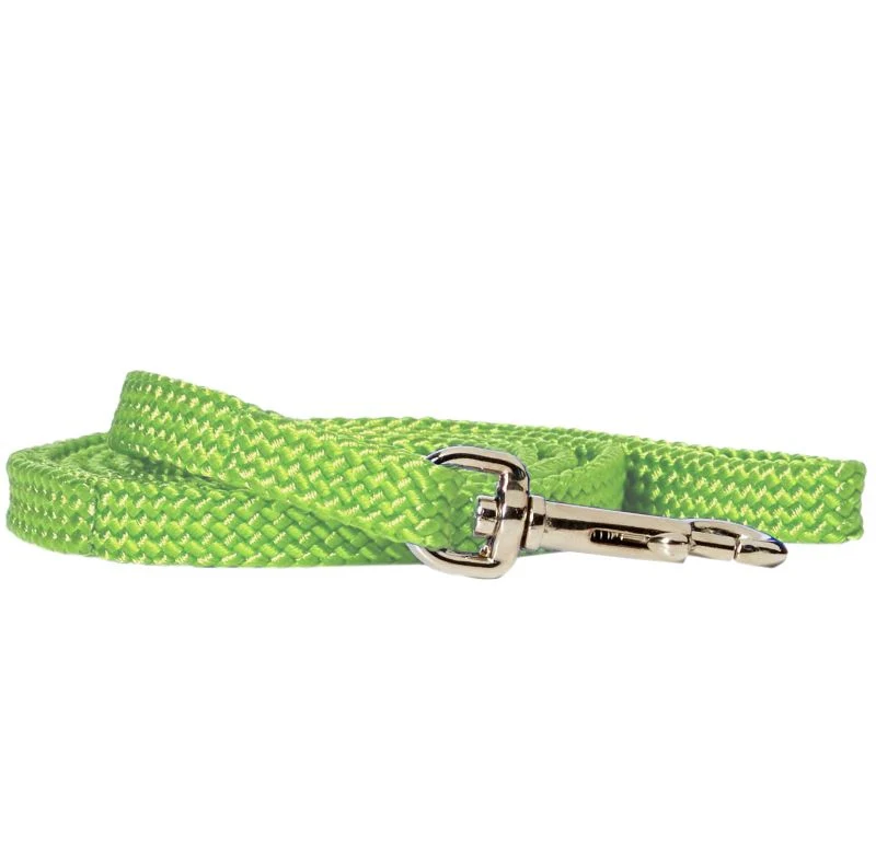 Rainbow Nylon Puppy Lead - Image 2