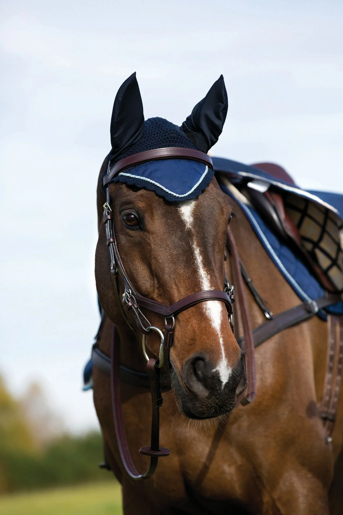 Rambo Grand Prix Ear Net Navy/Beige - Image 2