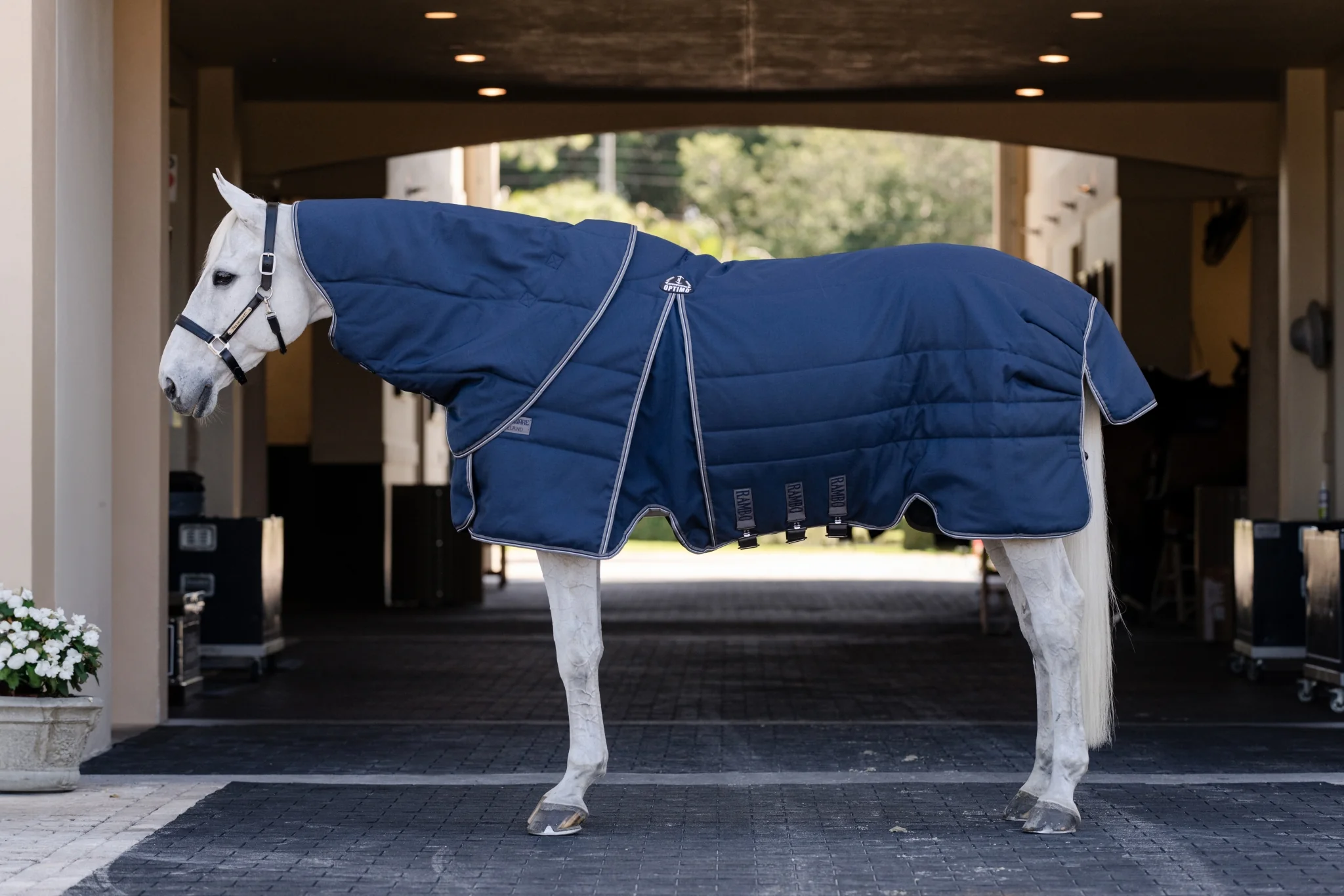 Rambo Optimo Stable Plus 200g