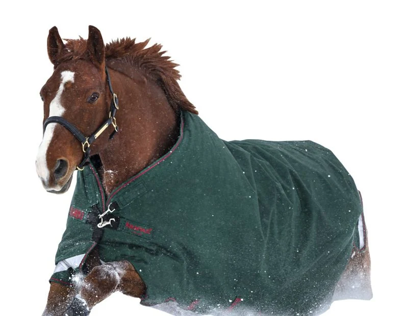Rambo Original Arch Blanket 100g