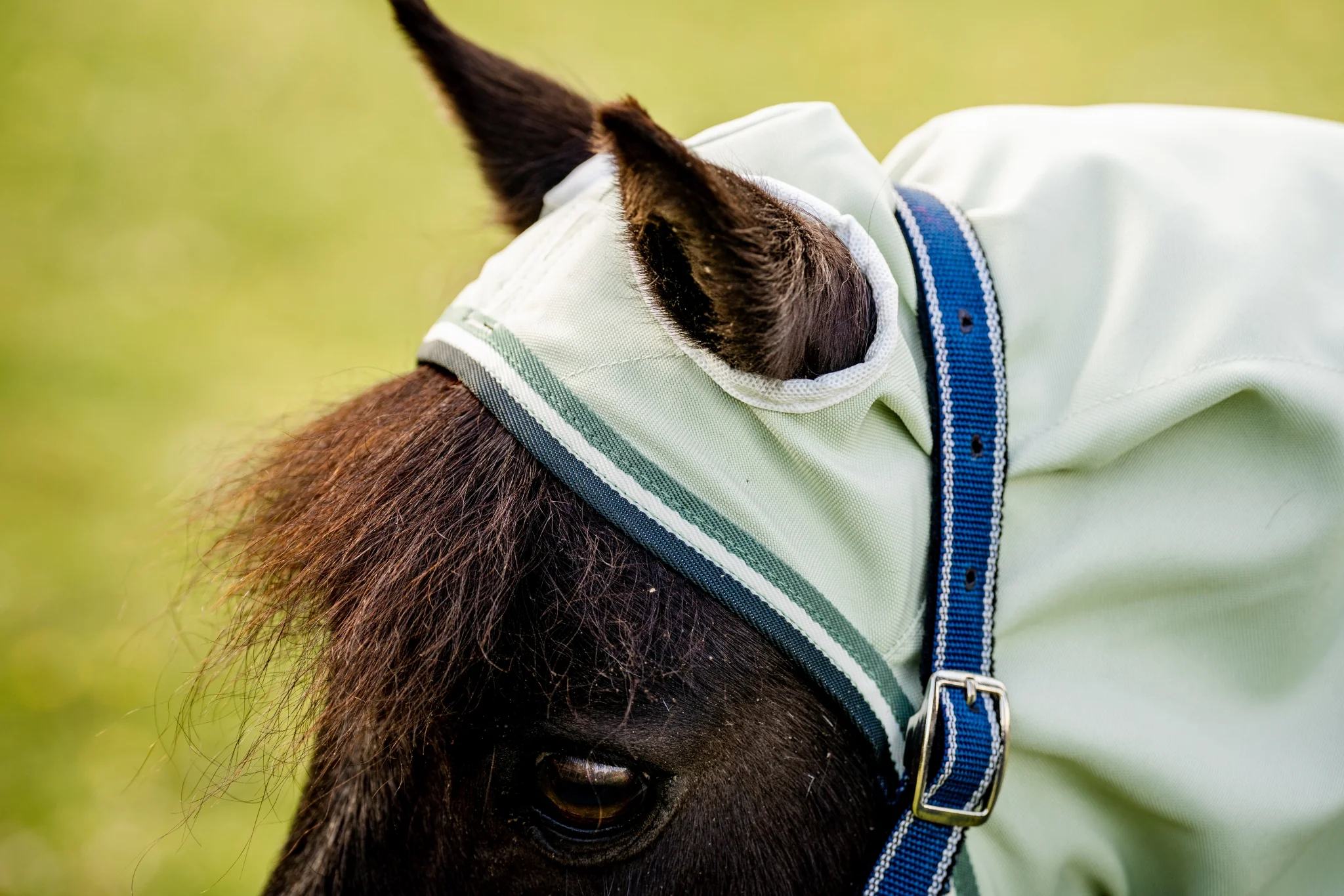 Rambo Petite Hoody - Image 3