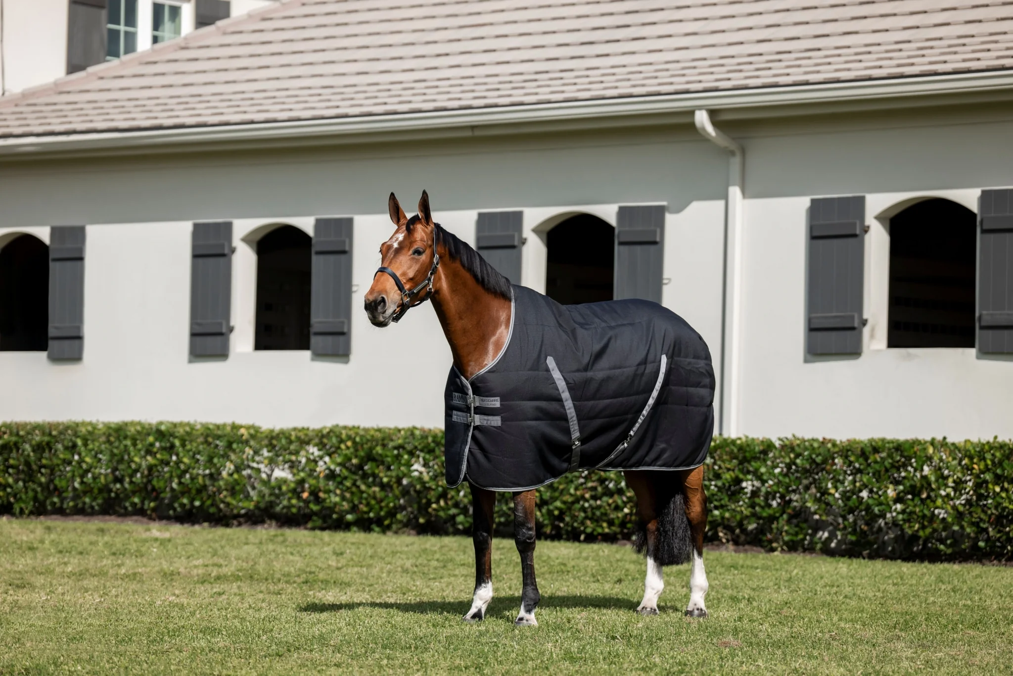 Rambo Stable 200g Embossed Lining - Image 4